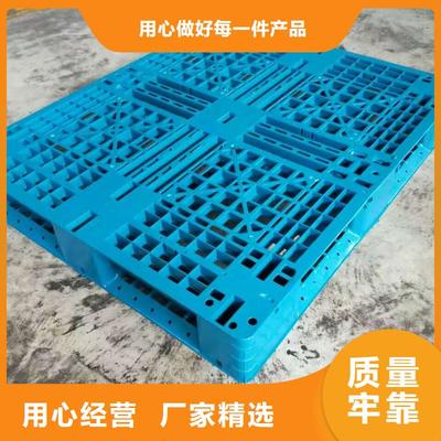 河南省鶴壁市藍(lán)色塑料卡板|(附近)服務(wù)商