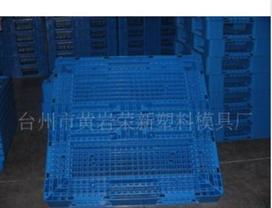 多種其它 浙江臺州市黃巖榮新塑料模具廠